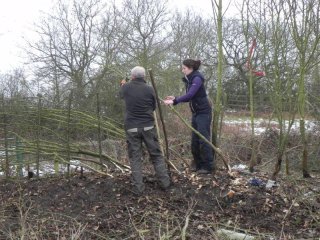 Conservation volunteering - Charnwood Borough Council