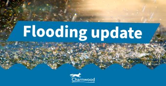 The image shows rainfall and the words floodnig update plus the Council logo