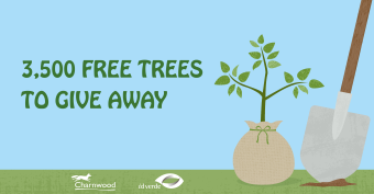 Free Tree Give Away Graphic