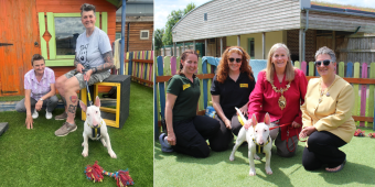 Rosie finds a new home - Dogs Trust Loughborough